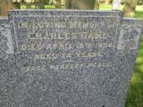image of grave number 288915